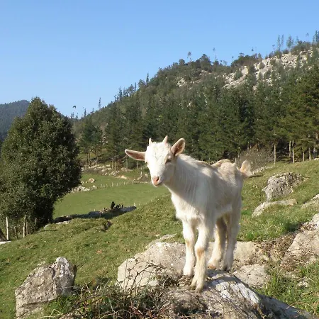 Casa Rural Akuiola Landsted